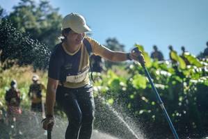 BIB: 
                            <button type="button" onclick="openModal(19322829)" class="btn btn-primary btn-sm float-right btn-popup" data-toggle="modal" data-target=".modal-high-quality">
                        <i class="fas fa-shopping-cart"></i> Add to Cart
                    </button>
                                            <button type="button" onclick="isThisMe(19322829, true)" class="btn btn-success btn-sm float-right btn-popup btn-isme hidden" data-toggle="tooltip" data-placement="bottom" title="นี่คือรูปของคุณใช่ไหม คลิกที่นี่เพื่อเอาเข้าอัลบั้ม">
                        <i class="fas fa-plus"></i> Add to album
                    </button>
                    <button type="button" onclick="isThisMe(19322829, false)" class="btn btn-warning btn-sm float-right btn-popup btn-isnotme hidden">
                        <i class="fas fa-ban"></i> Remove from album
                    </button>